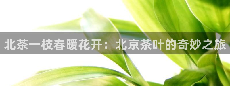 彩名堂平台