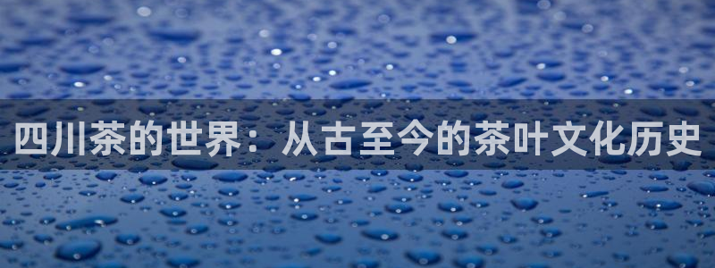彩名堂二维码