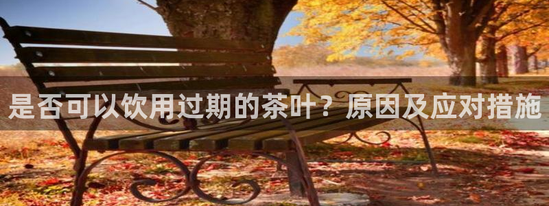 彩名堂计划怎么出的