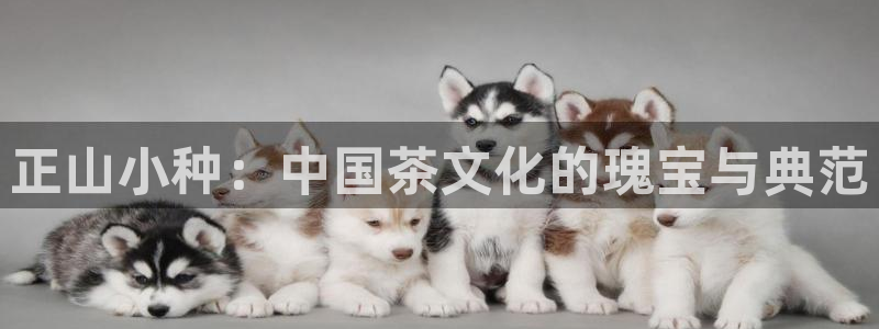 彩名堂计划app安卓免费下载