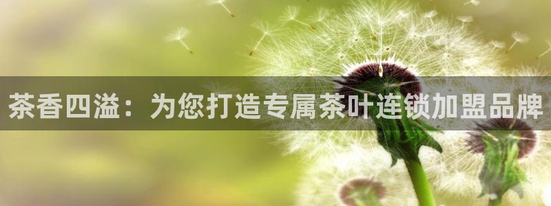 彩名堂计划最新版手机版