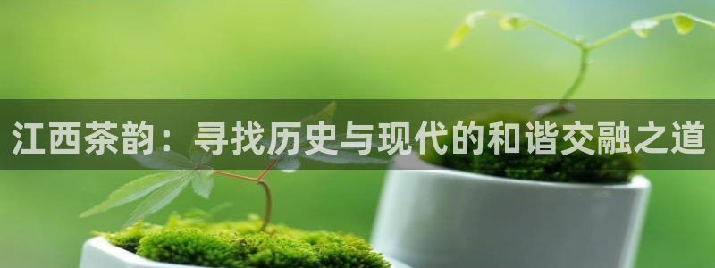 彩名堂怎么用不输