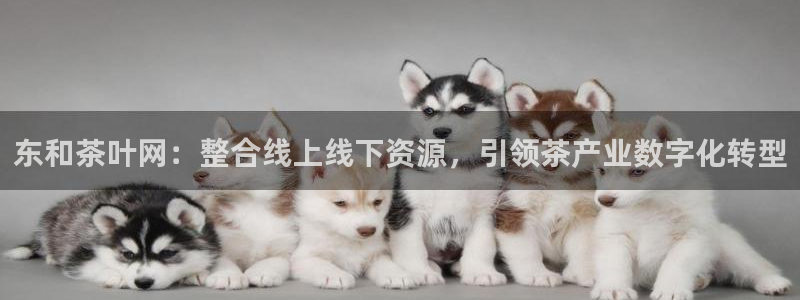 彩名堂官网计划