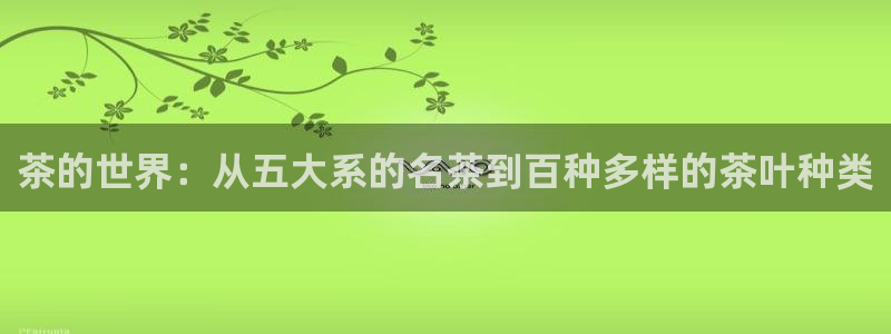 彩名堂app计划官方网站
