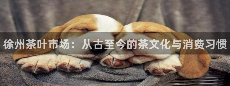彩名堂app彩名堂客户端