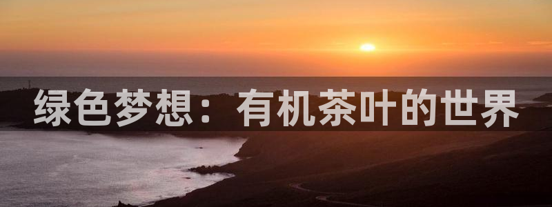 彩名堂预测