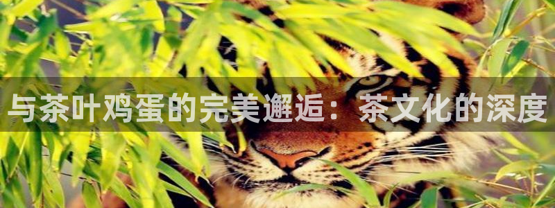 下载苹果手机版彩名堂