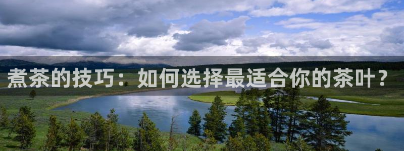 彩名堂双彩网