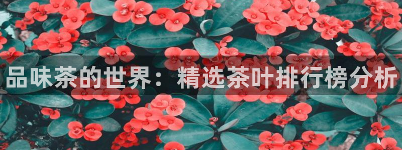 彩名堂怎么选稳定计划产品