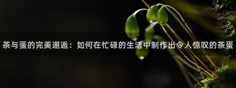 彩名堂改成什么名字了