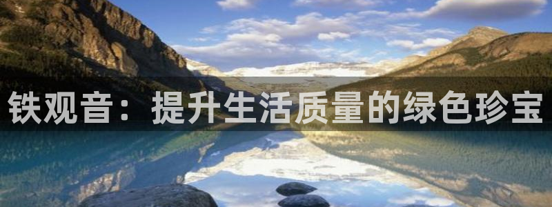 彩名堂首页