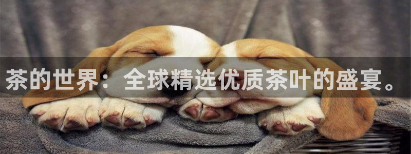 彩名堂官方软件下载
