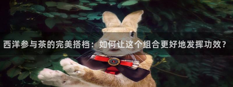 彩名堂预测