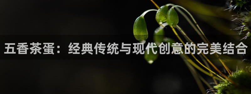 彩名堂怎么用不输