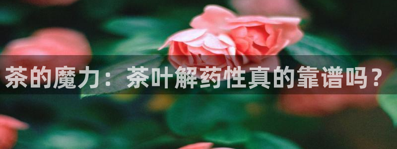彩名堂客户端是永久免费吗是真的吗安全吗