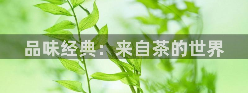 彩名堂安卓客户端官网下载