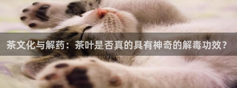 下载彩名堂预测计划软件安装