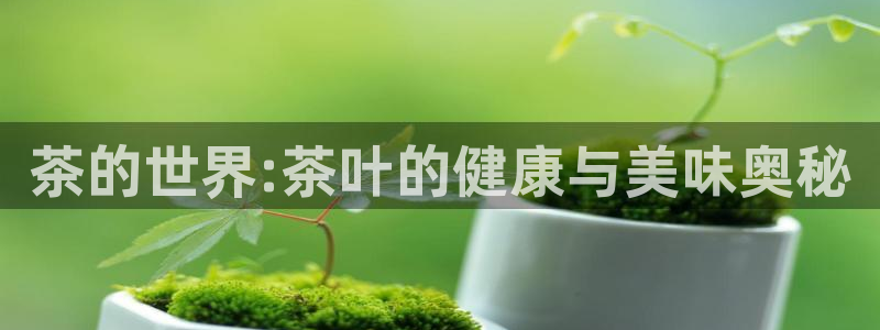 彩名堂移动客户端是什么