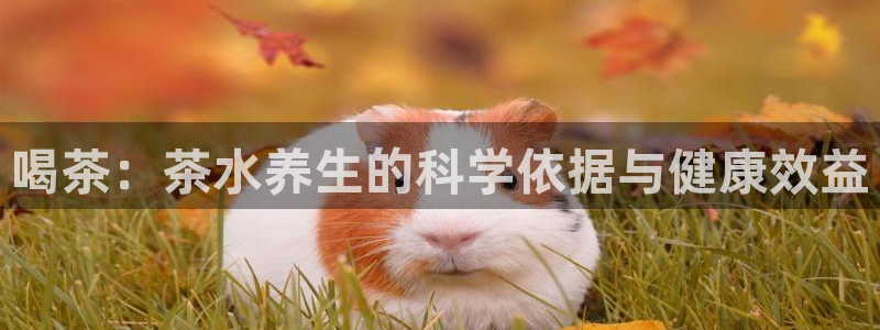 彩名堂手机版官网