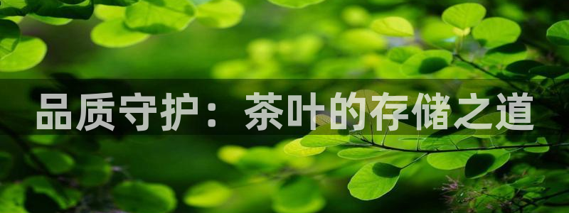 彩名堂预测免费计划app-彩名堂预测免费