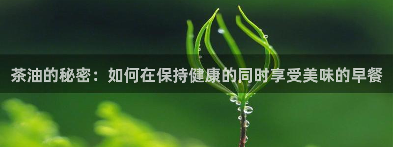 彩名堂计划技巧有哪些