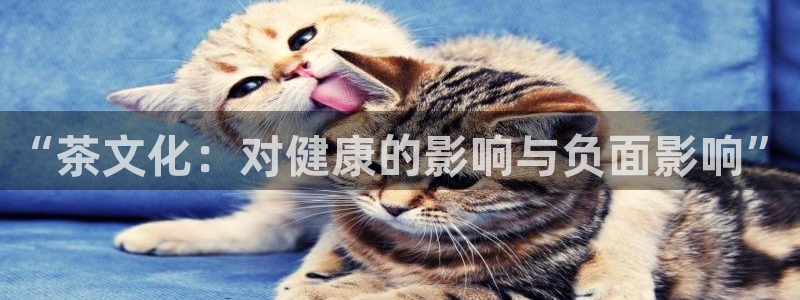 彩名堂975新版本