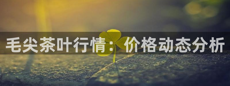 彩名堂怎么跟计划才不连挂呢