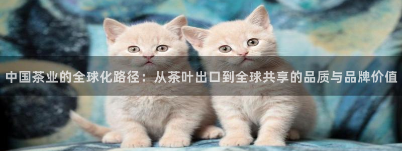 彩名堂最新计划下载地址