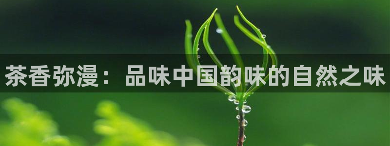 彩名堂计划技巧