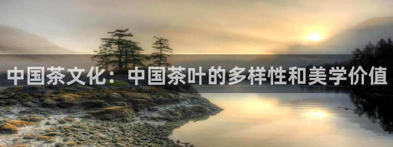 彩名堂用不了