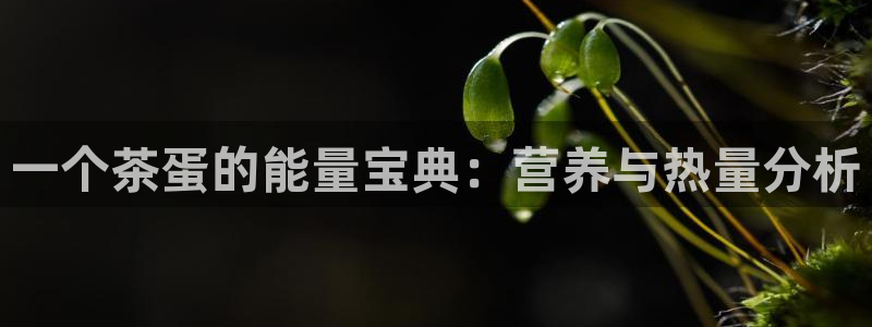 彩名堂怎么跟计划才不连挂在一起
