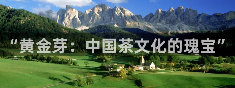 彩名堂计划官方下载网址
