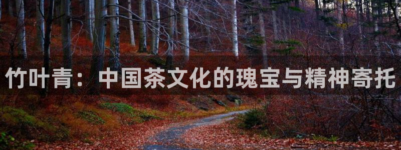 彩名堂最新计划下载地址