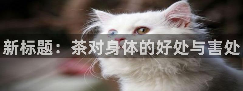 彩名堂计划怎么跟,为什么我一跟就挂