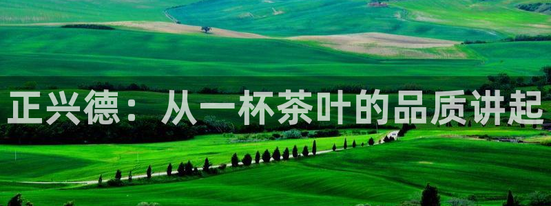 正规彩名堂官网计划01