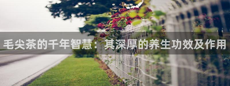 彩名堂免费计划使用方法