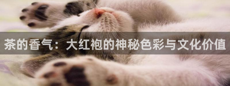 彩名堂免费计划官网50下载957