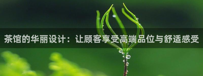 彩名堂预测软件与分析