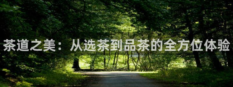 彩名堂计划官方客服