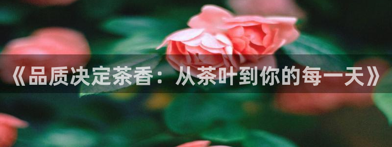 彩名堂怎么选稳定计划产品