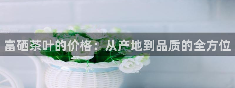 彩名堂官网客户端