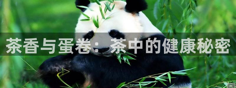 彩名堂手机客户端官网