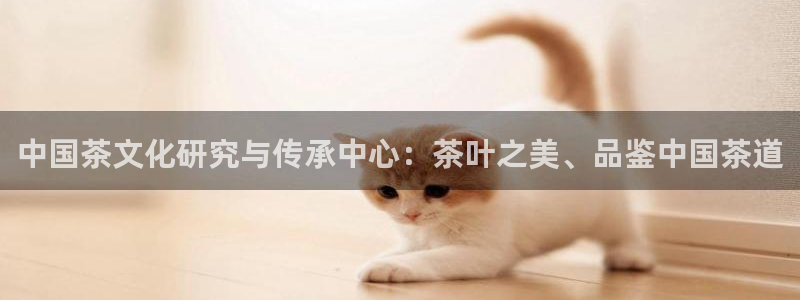 为什么彩名堂今天不能用