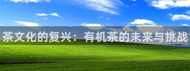 彩名堂加拿大怎么买准确率高