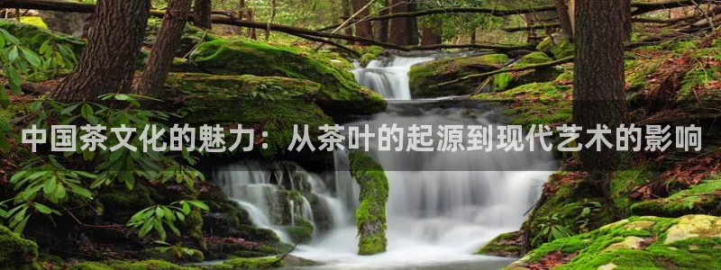 彩名堂计划技巧