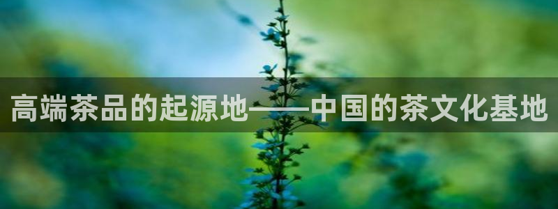 彩名堂是不是不能用了吗