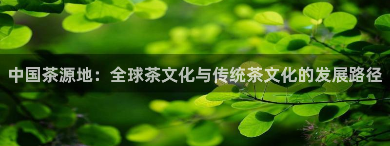 彩名堂计划怎么跟不挂