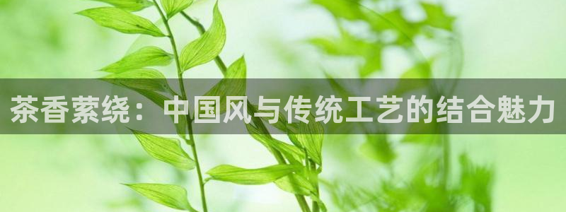 彩名堂合作655560