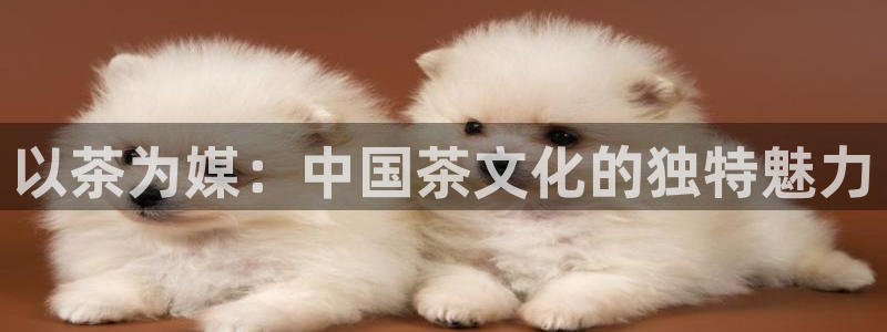 彩名堂全天计划