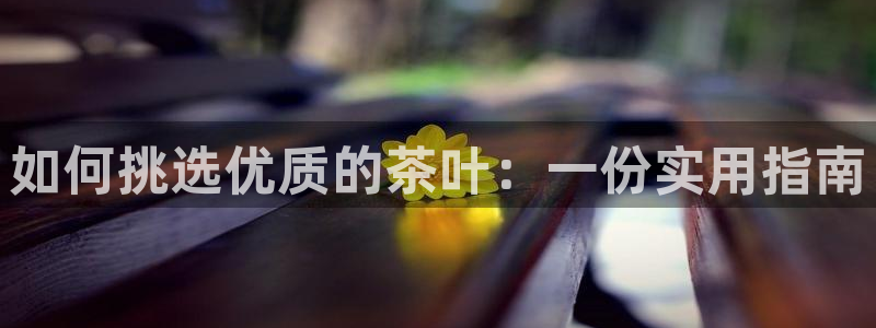 彩名堂计划和01计划怎么很稳
